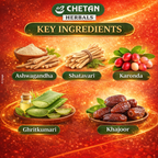 Active 24 Multivitamin Capsule